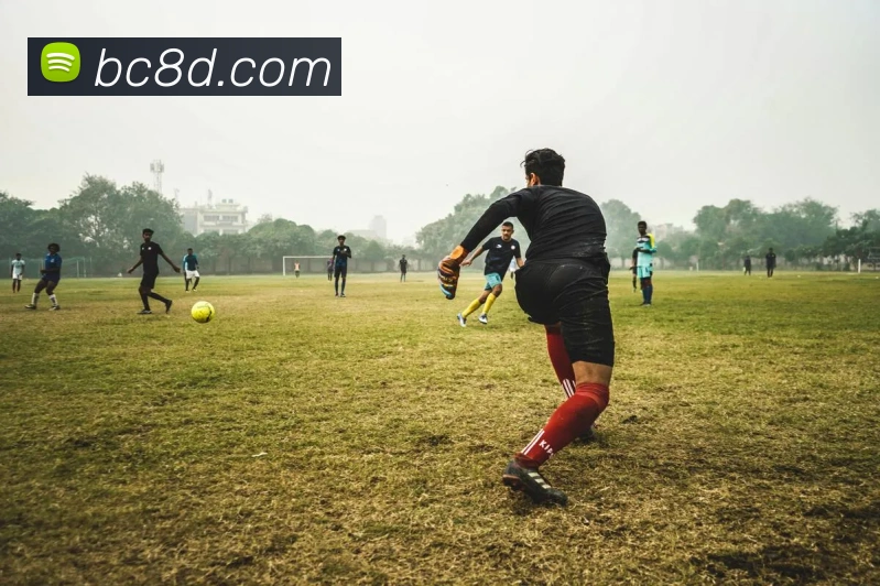 多媒体互动体验