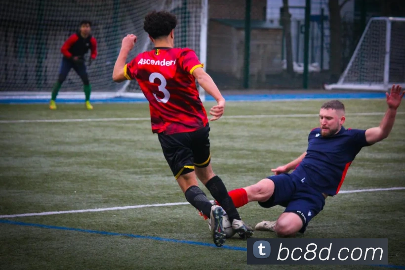 九游会官网APP 体育赛事宣传图